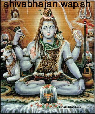 shiva blog
